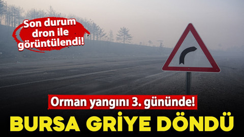  Bursa'daki orman yangınında son durum! 3. günde duman gökyüzünü kapladı