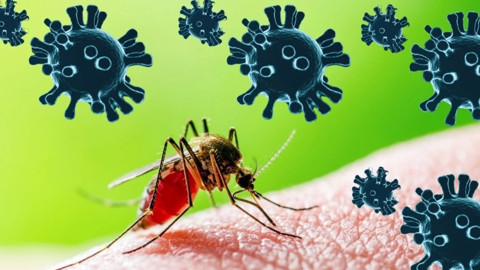 Covid-19 sonrası yeni tehlike! DSÖ alarm verdi: Türkiye'de tehdit altında mı? Uzmanı açıkladı