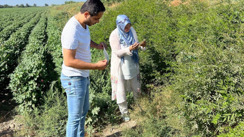 Aydın Söke’de tarım arazilerinde tuzaklar kontrol edildi, üreticilere uyarı yapıldı