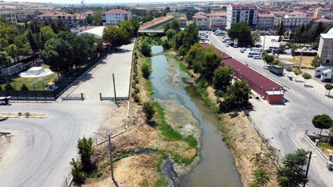 Bulgaristan’dan Edirne’ye yayıldılar, nehir kenarlarında görünmeye başladılar; görenler ne olduğunu anlamaya çalışıyor