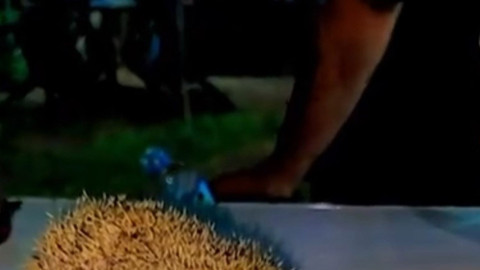 Siirt’te sıcaktan parkta hareketsiz kaldı, vatandaşlar su vererek kurtardı