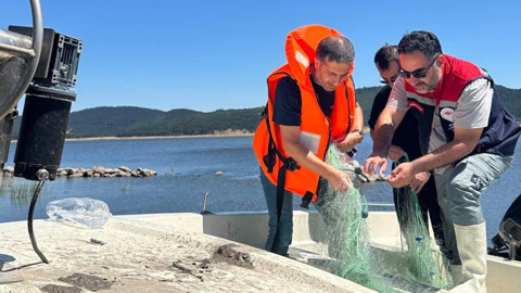 Bolu Seben’de 2,5 kilometrelik kaçak ağ ele geçirildi, 27 balık yeniden suya bırakıldı
