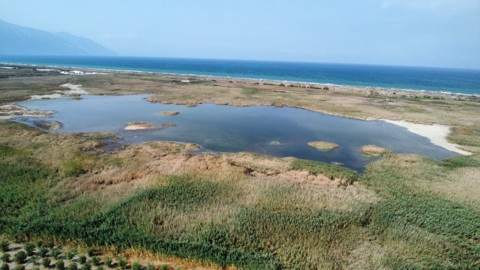 Hatay Samandağ’daki Milleyha Kuş Cenneti suyla doldu, göçmen kuşlar geri döndü