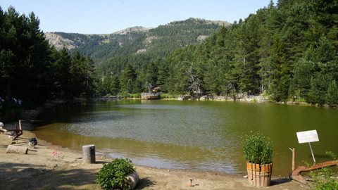 Gümüşhane’de 2 bin metre rakımdaki Limni Gölü Tabiat Parkı sıcak havadan kaçanların uğrak noktası oldu