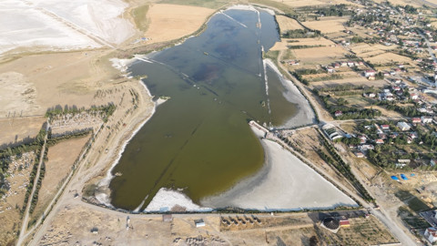 Sivas’ta Ulaş Gölü'nde balık ölümleri: Su seviyesi hızla çekildi, kıyıya vuran balıklar endişe yarattı