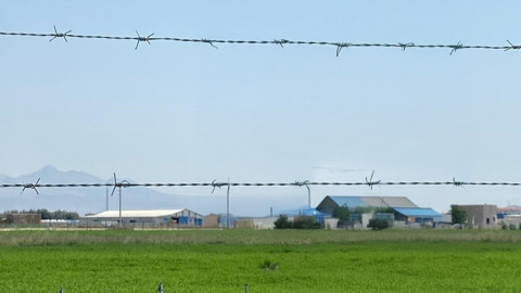 Çırpınarak kurtulmaya çalıştı. Onunla göz göze gelince sessiz çığlığı duyuldu