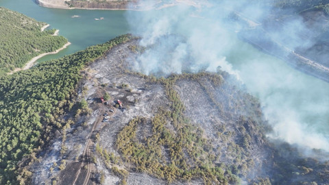 Tokat'ta orman yangını kontrol altında