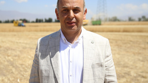 Atatürk Üniversitesine ait arazide kuraklığa dayanıklı buğday hasadı başladı