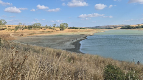 Tekirdağ’da Bıyıkali Göleti kuruyor, balıklar ve doğal yaşam tehlikede
