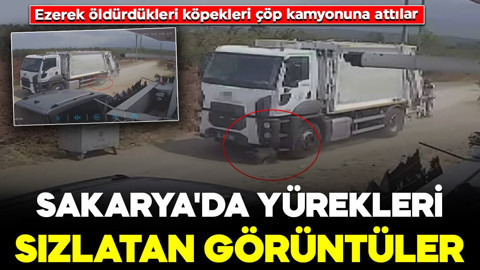 Sakarya'da yürekleri sızlatan görüntüler: Ezerek öldürdükleri köpekleri çöp kamyonuna attılar