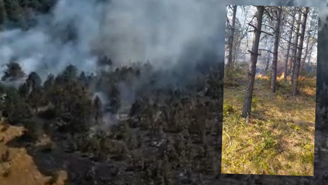 Sinop'ta orman yangını: Bir köy tahliye edildi