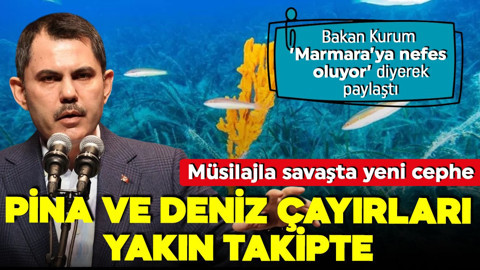 Müsilajla savaşta yeni cephe! Bakan Kurum böyle duyurdu: 'Pina ve deniz çayırları Marmara'ya nefes oluyor!