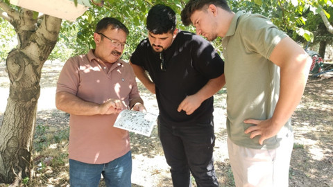 Uşak’ta tarımsal zararlılar için tuzak kontrolleri yapıldı