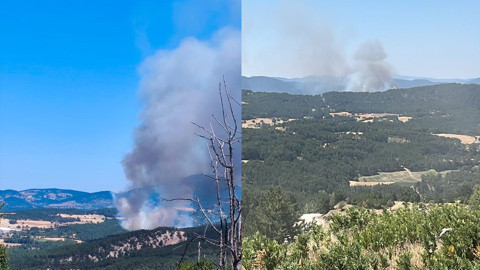 Bolu'da orman yangını