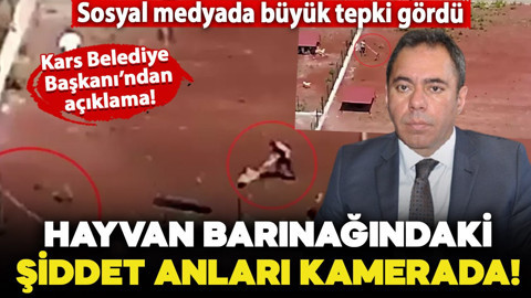 Hayvan barınağındaki şiddet dron kamerasıyla kaydedildi: O anlar büyük tepki topladı!