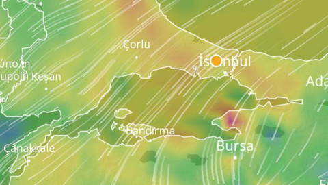 İstanbul'da Beşiktaş, Kadıköy, Üsküdar, Maltepe, Tuzla, Şişli, Bakırköy, Bahçelievler için pazar tarihi verildi. Herkes kendi evinde hissedecek