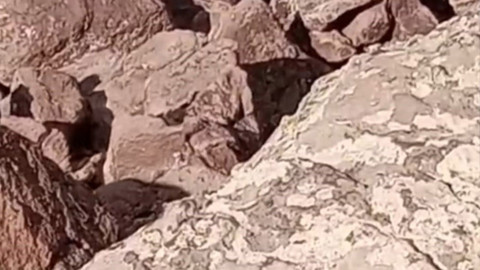 Van’da yükseklerde hareketlilik, 4 siluet aynı anda görüntülendi. Görenler bir daha baktı