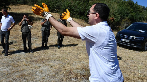 Kütahya’da 300 kanat aynı anda havalandı, farklı yönlere dağıldılar. Onları avlamak 3 yıl boyunca yasak