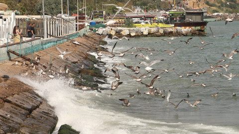 Tekirdağ açıklarında poyraz nedeniyle 8 gemi demirledi