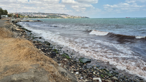 Tekirdağ Süleymanpaşa kıyılarında Poyraz sonrası kızıl yosunlar sahili kapladı