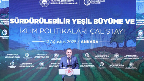 İklim Değişikliği Başkanı Prof. Dr. Halil Hasar: "Yeşil büyüme bir mecburiyettir, zorunluluktur”