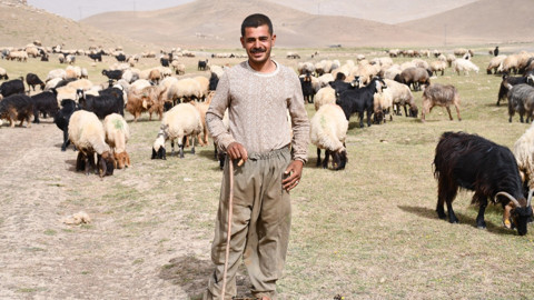 Şırnak yaylalarında 5 ay kalan göçerler, binlerce hayvanla 30 günlük dönüş yolculuğuna başladı
