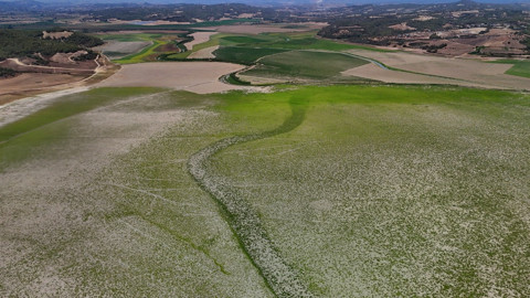 Adana’ya su sağlayan 5 barajın doluluk oranı yüzde 15’e geriledi, uzmanlar tasarruf uyarısında bulundu
