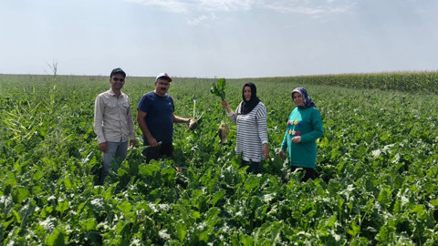Konya’nın Karapınar ilçesinde baharlık ürünlerin gelişimi yerinde incelendi, üreticilere öneriler verildi