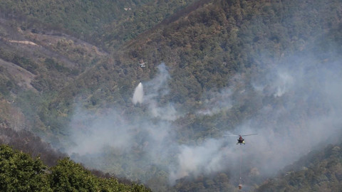 Karamürsel'deki yangın kontrol altında