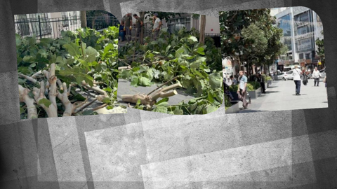 İstanbul'da fırtına alarmı! Şiddetli rüzgar ağaçları devirdi! Yaralananlar var