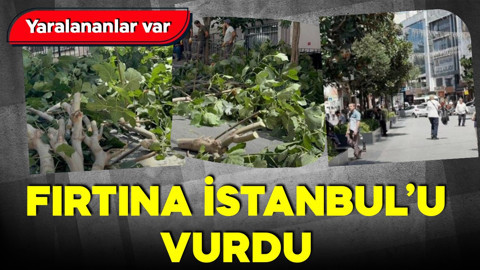 İstanbul'da fırtına alarmı! Şiddetli rüzgar ağaçları devirdi! Yaralananlar var