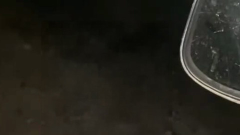 Bursa İnegöl’de sürücü aracını durdurdu, yanına gelen hayvanı cipsle besledi