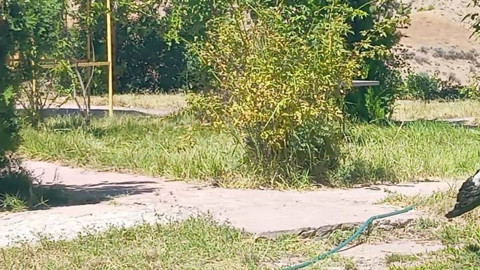 Elazığ’da parkta hareketsiz halde görüldü, ekipler hemen müdahale etti