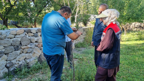 Kars’ın Digor ilçesinde elma, erik ve vişne ağaçlarına aşılama yapıldı, verim artışı hedefleniyor