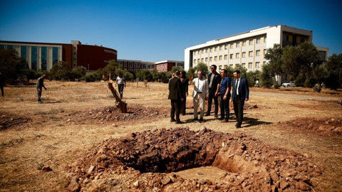 Aydın Adnan Menderes Üniversitesi’nde Nysa Antik Kenti’nden getirilen tarihi zeytin ağaçları yeni yerine dikildi