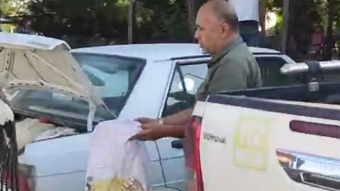 Denizli’de gölün ortasında çırpınırken görüldü, balıkçıların dikkati sayesinde kurtarıldı