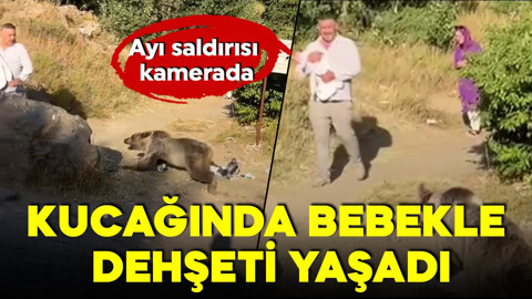 Korku dolu anlar kamerada! Kucağında bebekle ayı saldırısına uğradı