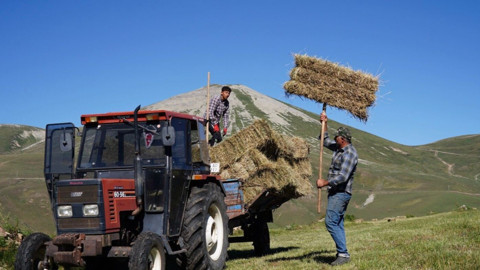 Ardahan’da asırlardır kullanılan aletle zorlu mera mesaisi başladı
