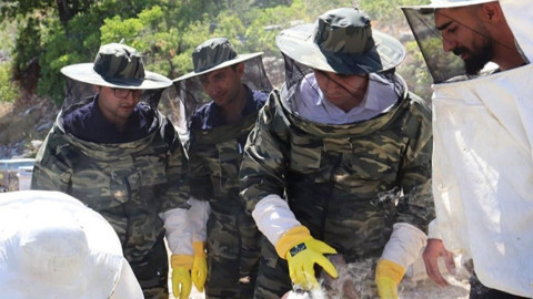 Erzincan’da yüksek rakımlı yaylalarda arıcılar sıcak altında maskelerini takıp bal hasadına başladı
