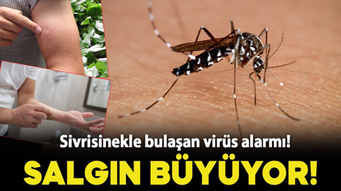 Sivrisinekle bulaşan virüs alarmı! Salgın giderek büyüyor