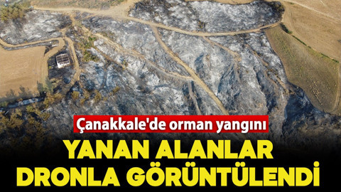 Çanakkale'de orman yangını: Yanan alanlar dronla görüntülendi