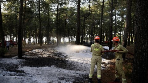 Fethiye'de ormanlık alandaki yangın söndürüldü