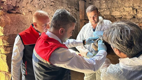 Erzurum’da yayılan tehlikeye karşı yoğun mücadele, ekipler köy köy dolaşıyor