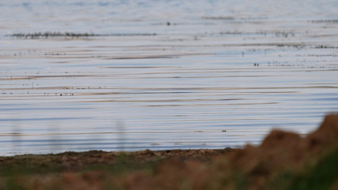 Barajı kıyısında objektiflere yansıdı, bir süre gezindi sonra gökyüzüne yükseldi