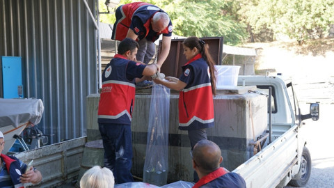 Kastamonu’da farklı baraj ve göletlere 656 bin yavru aynı anda salındı