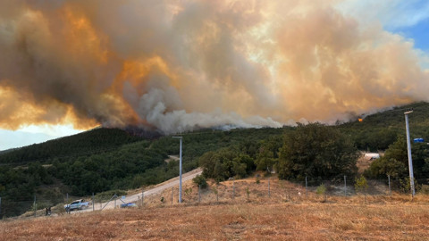 Türkiye yangınlarla mücadele ediyor! 40 bağ evi tahliye edildi