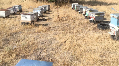 Kırklareli'nde arılı kovan tespit çalışmaları sürüyor