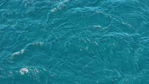 Balıkesir Erdek Körfezi’nde aynı anda belirdiler, suyun üzerinde görsel şölen sundular