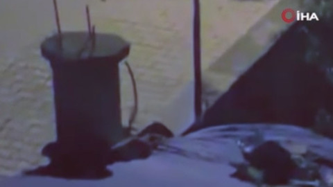 Siirt’te dün yakalanıp doğaya bırakıldı, gece yarısı yine aynı bahçede belirdi