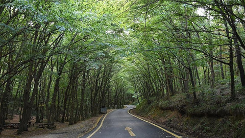 Valilik duyurdu! O ilde ormanlara giriş yasağı uzatıldı